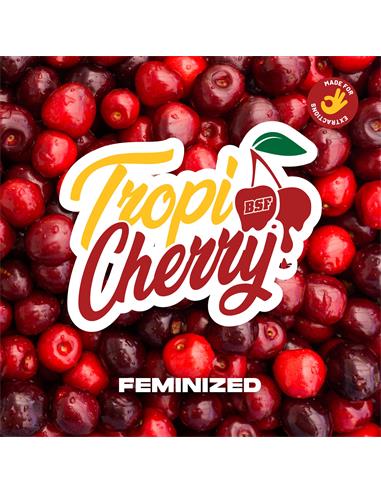 Tropi Cherry X7