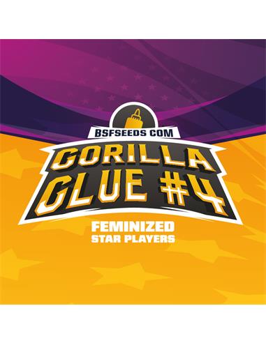 Gorilla Glue #4 - X7